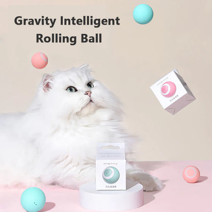 HappyFuzzy™️  Cat Smart Ball