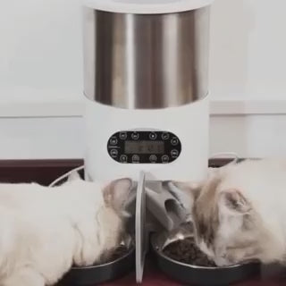 HappyFuzzy™️ Automatic Feeder